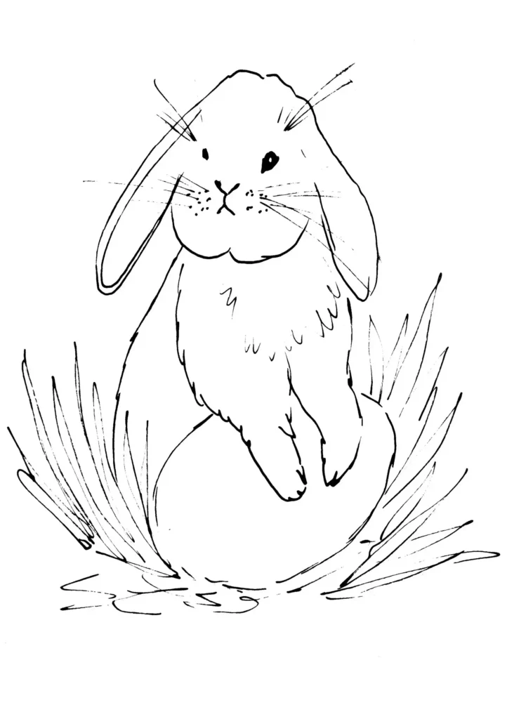 simple cute easter bunny drawing sketch