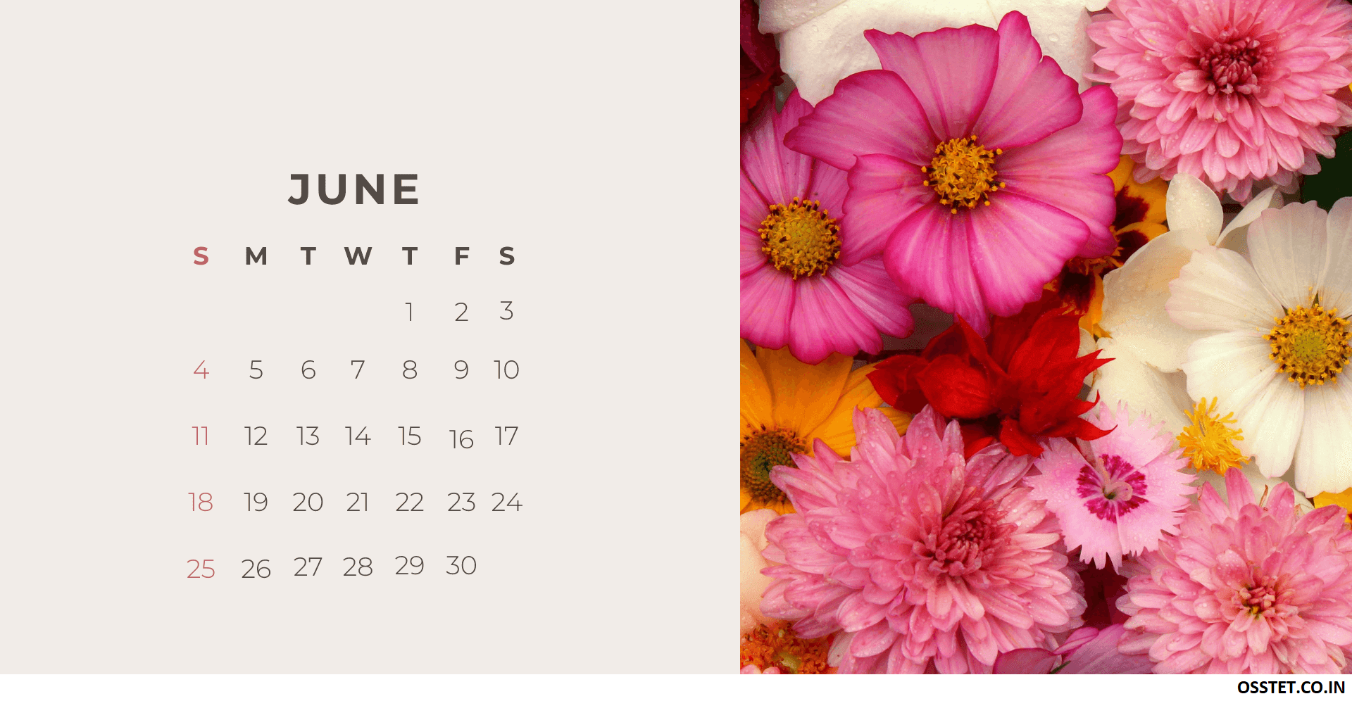 Cute June 2023 Floral Calendar