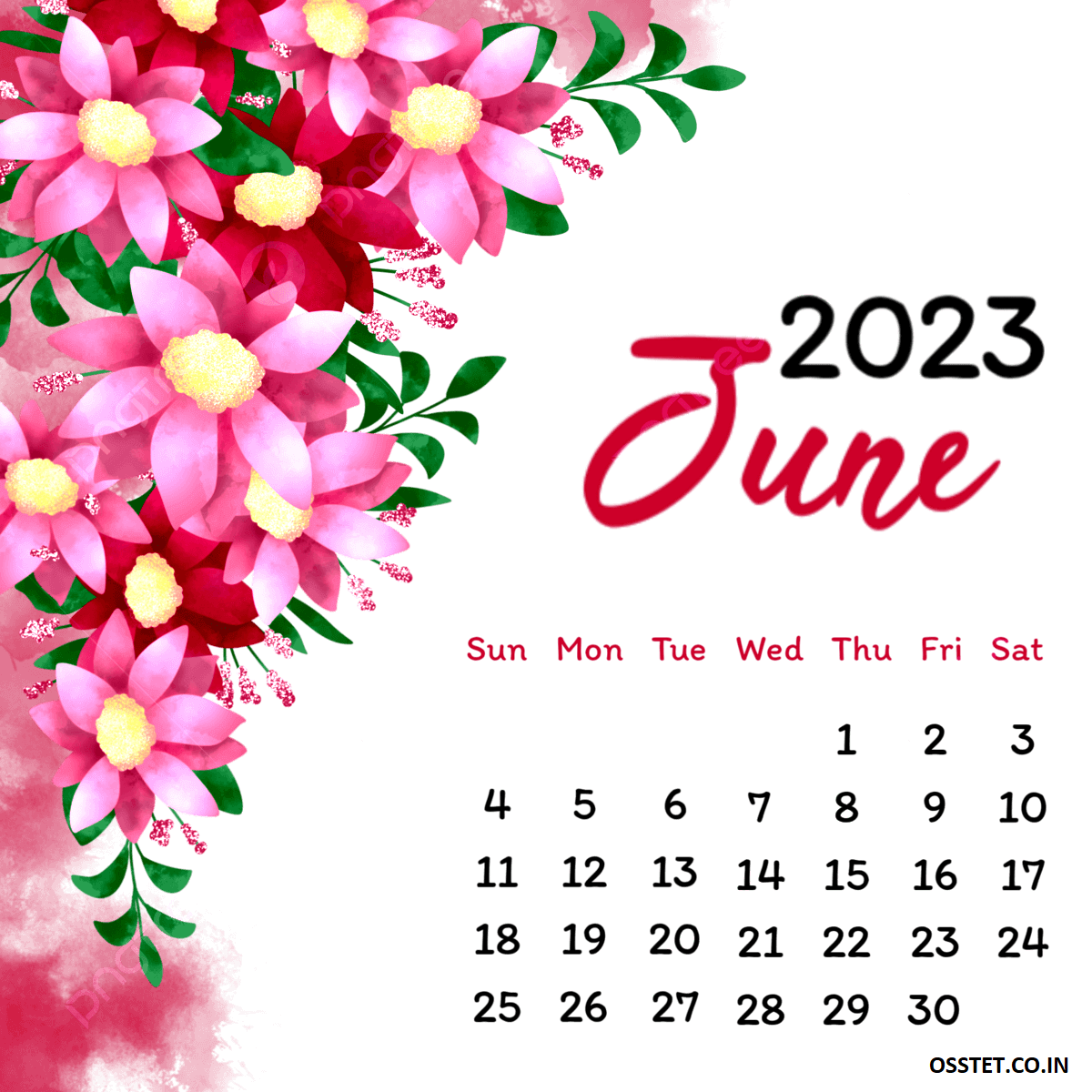 June 2023 Floral Calendar